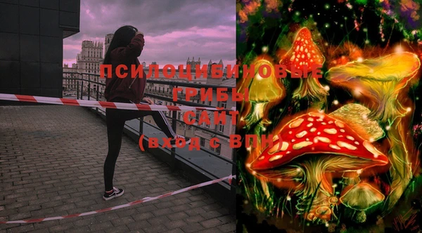 ECSTASY Абинск