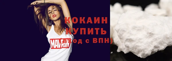 винт Абаза