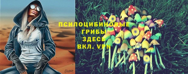 винт Абаза
