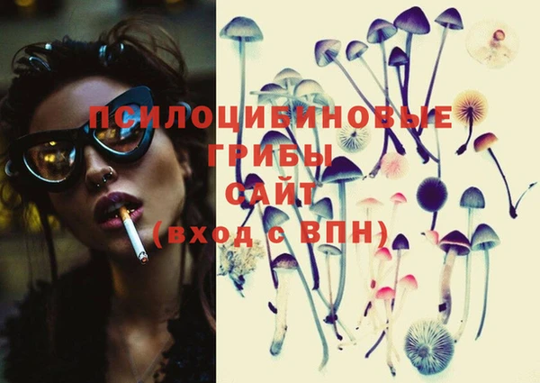 винт Абаза