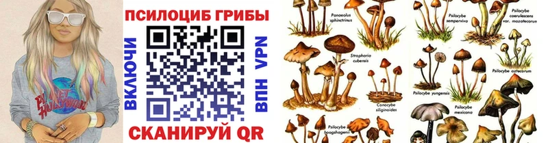 Псилоцибиновые грибы Psilocybine cubensis наркота Димитровград