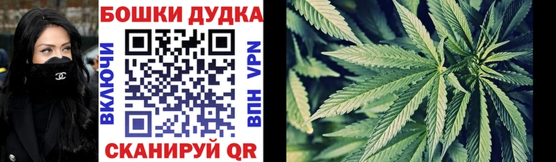 OMG маркетплейс  купить  цена  Димитровград  Конопля ГИДРОПОН 